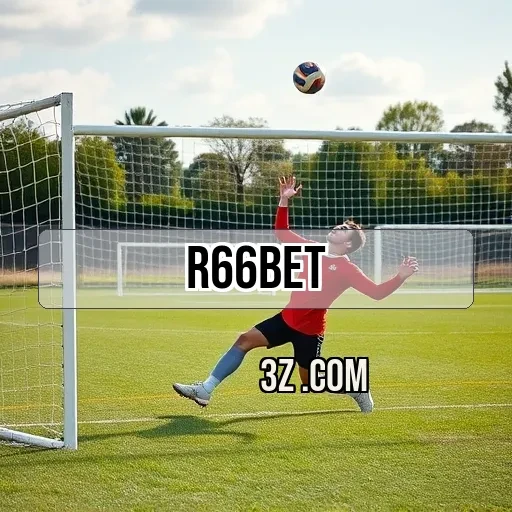 Newsletters Inovadoras do r66 bet: Conecte-se e Ganhe Mais!